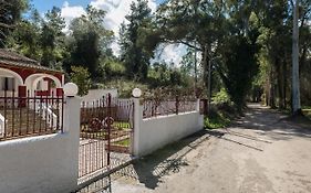Merlyn Rooms Into The Nature, 100M From The Beach