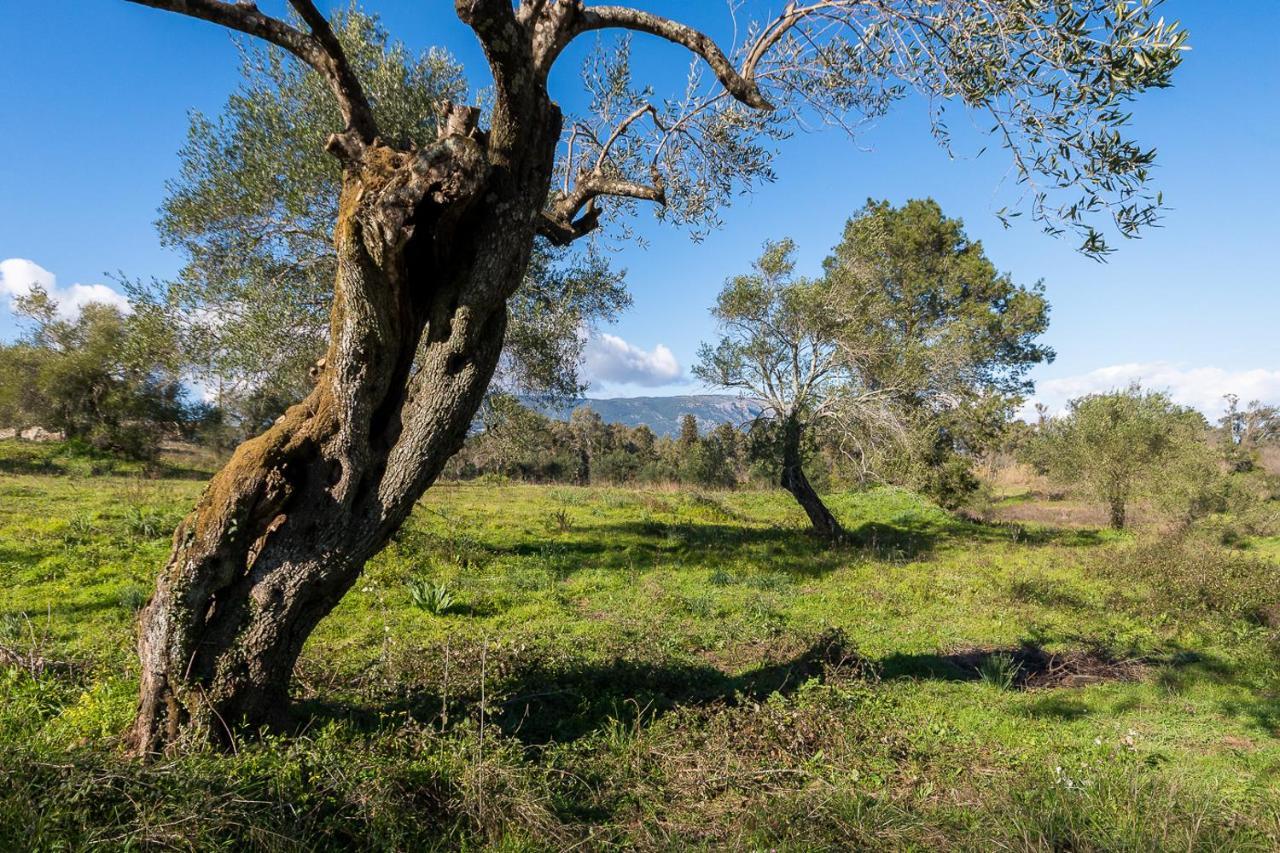 Merlyn Rooms Into The Nature, 100M From The Beach Dafnila Esterno foto