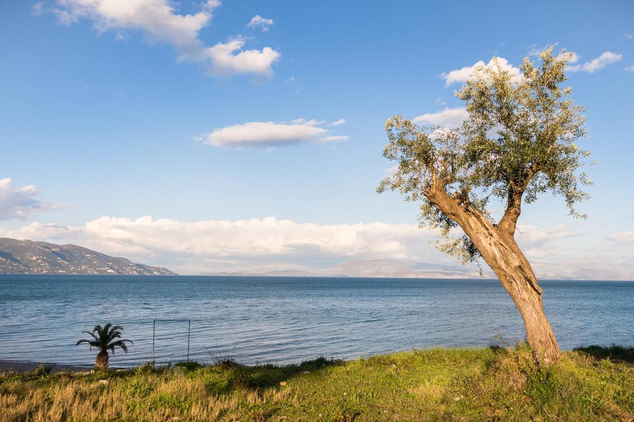 Merlyn Rooms Into The Nature, 100M From The Beach Dafnila Esterno foto